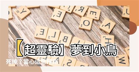 夢到小鳥死掉|夢見小鳥死了，夢到小鳥死了是什麽意思？